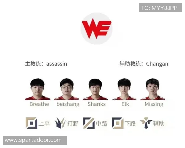 数据分析揭示WE战队实力表现的关键因素与未来发展潜力