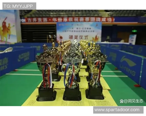 武汉乒乓球队总决赛个人能力分析与表现评估