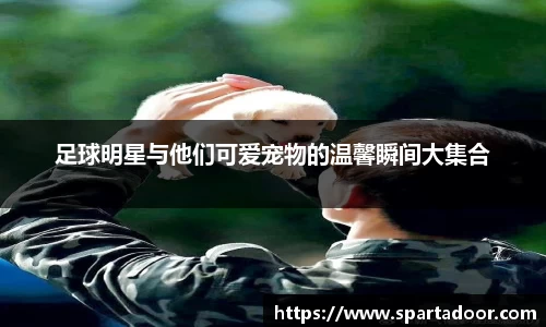 Letou乐投官方网站